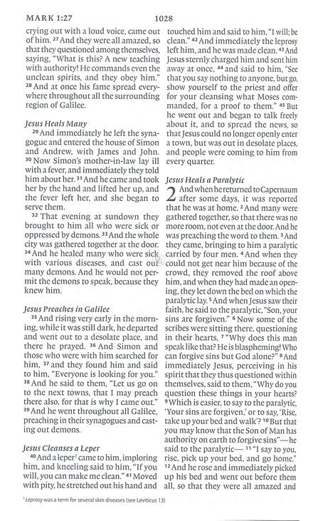 ESV Large Print Value Thinline Bible, Black, Trutone