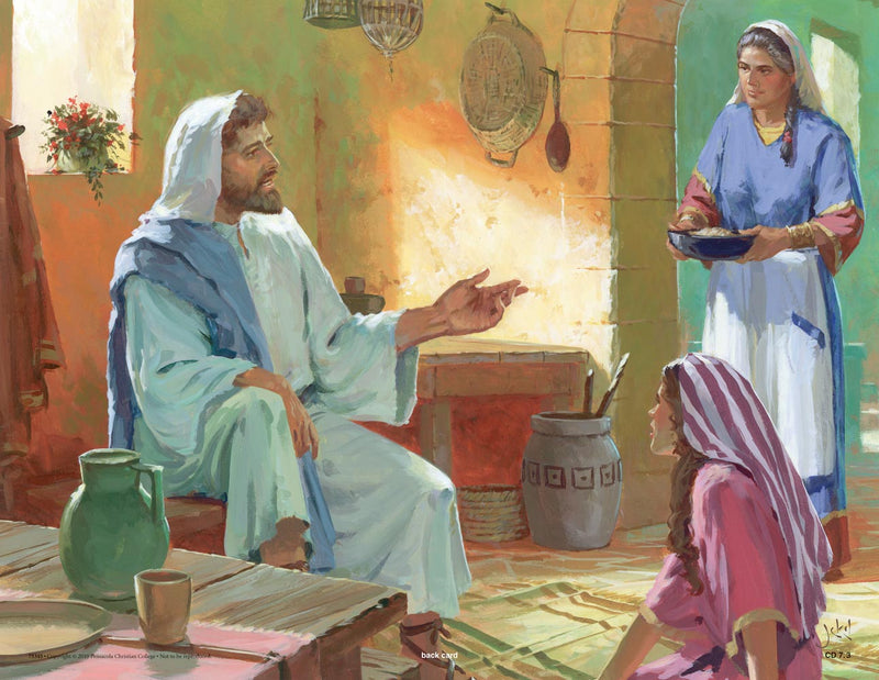 Later Ministry of Jesus (Life of Christ Series 4) - Abeka Flash-A-Card