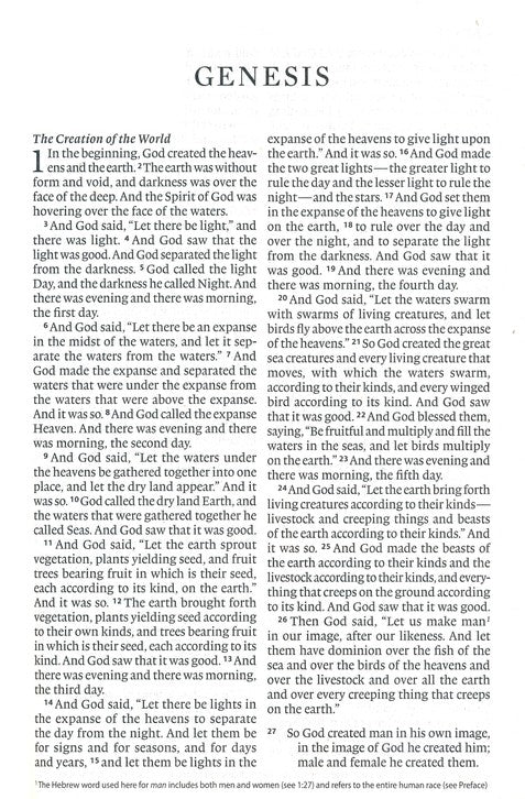 ESV Economy Bible Large Print *