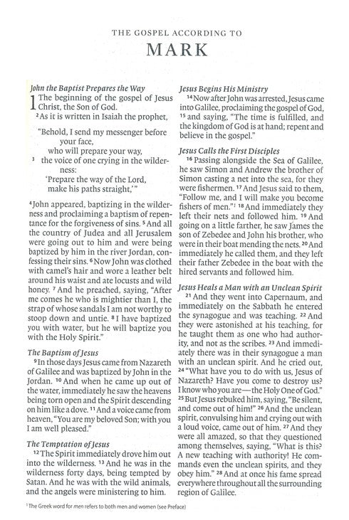 ESV Economy Bible Large Print *