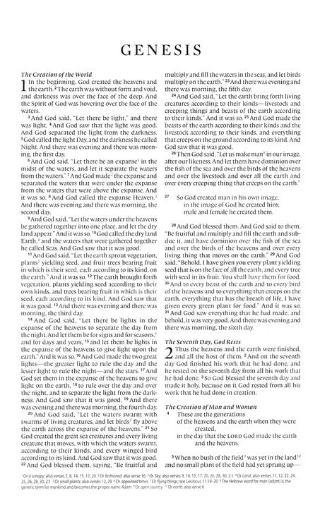 ESV Value Thinline Bible Brown Mosaic Trutone