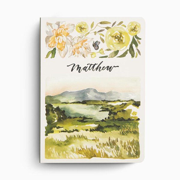 ESV Scripture Journal NT Set with Artwork