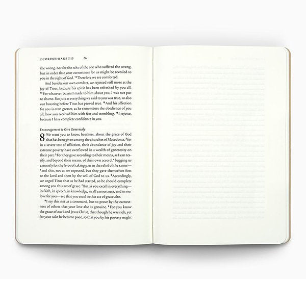 ESV Scripture Journal NT Set with Artwork