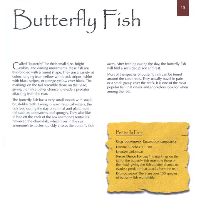 Marvels of Creation: Sensational Sea Creatures