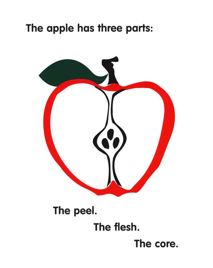 3 in 1 A Picture of God