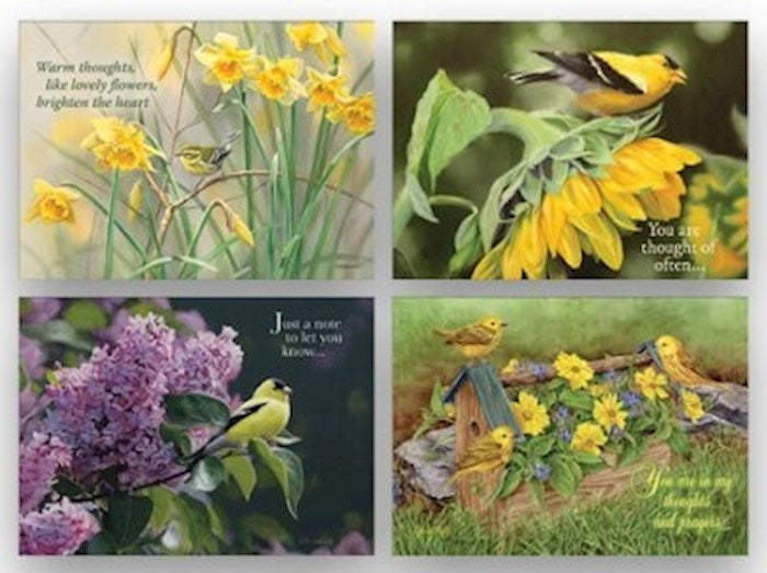 Boxed Cards - Birds - Thinking of You