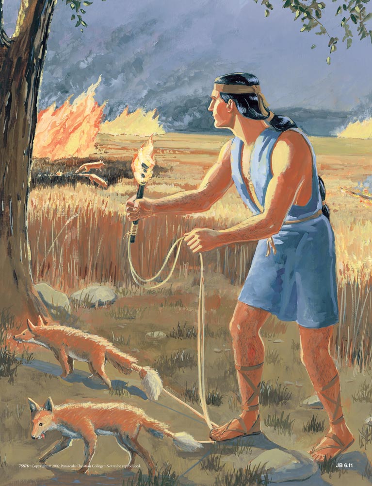 Judges Abeka Flash-A-Card