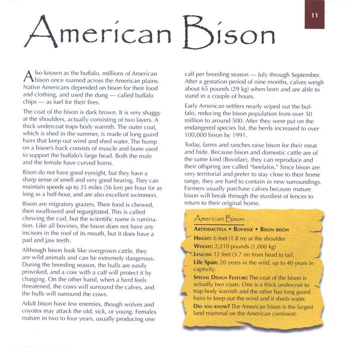 Marvels of Creation: Magnificent Mammals