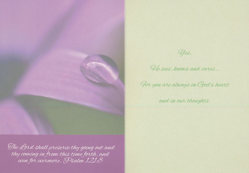 Boxed Cards - Paths of Life - Thinking of You