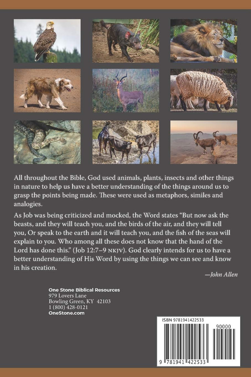 God's Creatures in God's Word