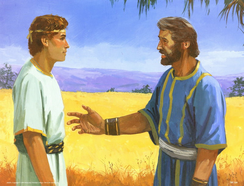 Young David (Life of David Series 1) - Abeka Flash-A-Card