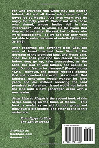 From Sinai to Pisgah: The History of Moses and Israel through the Wilderness