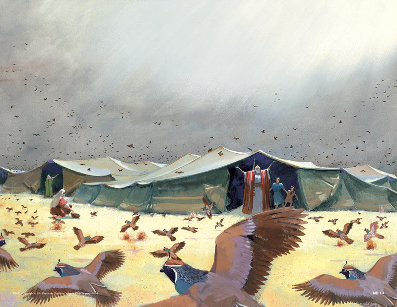 Journey through the Wilderness (Life of Moses Series 3) - Abeka Flash-A-Card