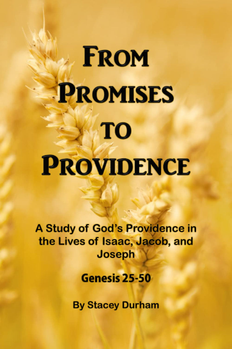 From Promises to Providence: (Genesis 25-50)