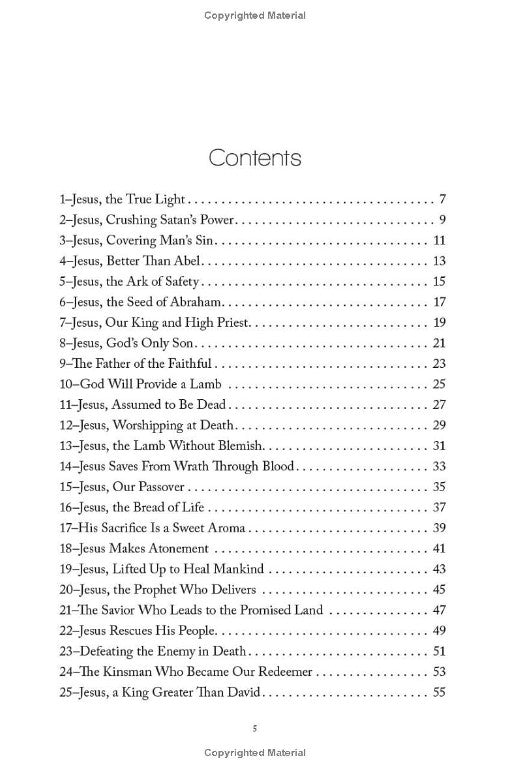 Help Me Believe in the Power of the Cross:  Lord's Supper Meditations