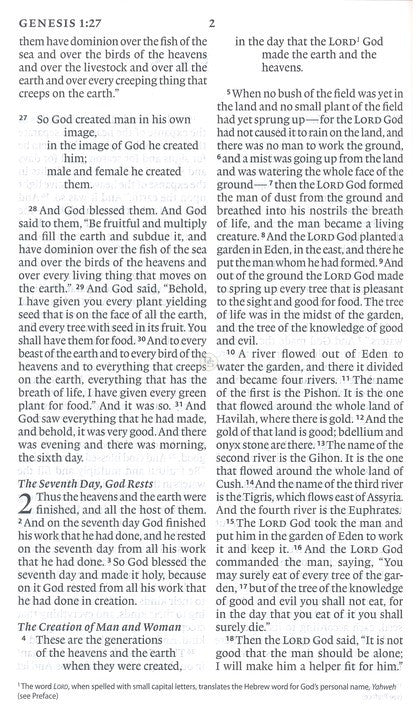 ESV Large Print Value Thinline Bible, Black, Trutone