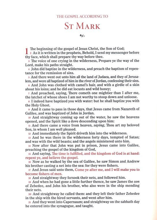 KJV Single Column, Wide-Margin Bible Brown Leathertouch