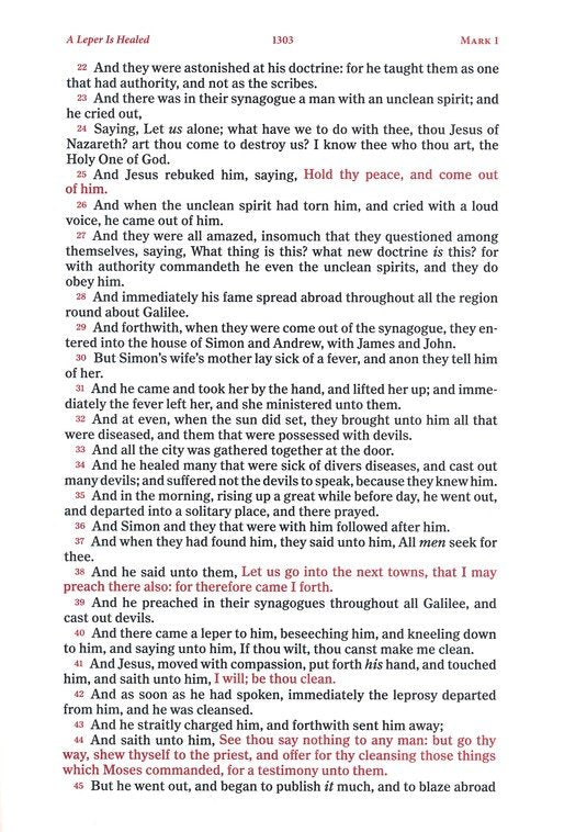 KJV Single Column, Wide-Margin Bible Navy Leathertouch