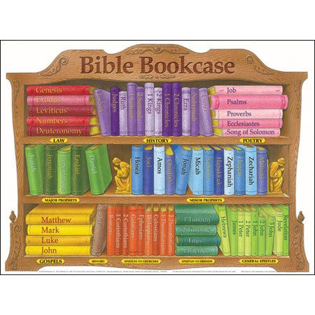 Bible Book Case Laminated Wall Chart