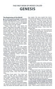 Excerpt: Genesis