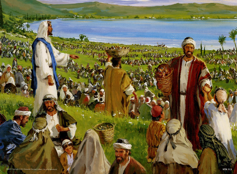 New Testament Stories Series 1 - Abeka Flash-A-Card