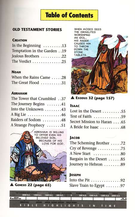 The Picture Bible - Hardcover