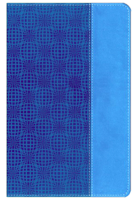 NIV Adventure Bible - Electric Blue/Ocean Blue DuoTone