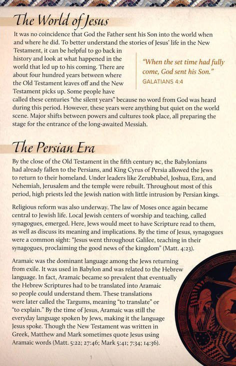 Understanding the World of Jesus pamphlet