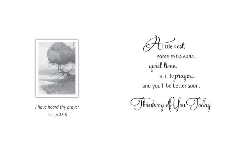 Boxed Cards - Botanical- Get Well