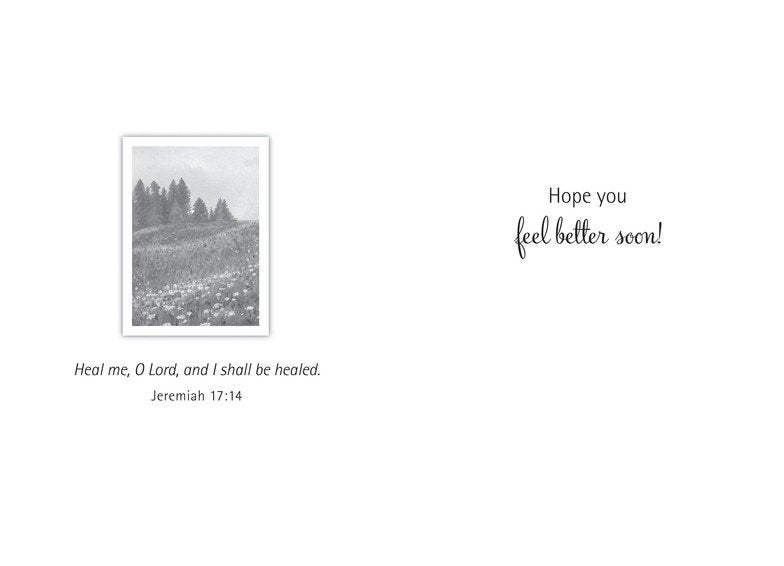 Boxed Cards - Botanical- Get Well