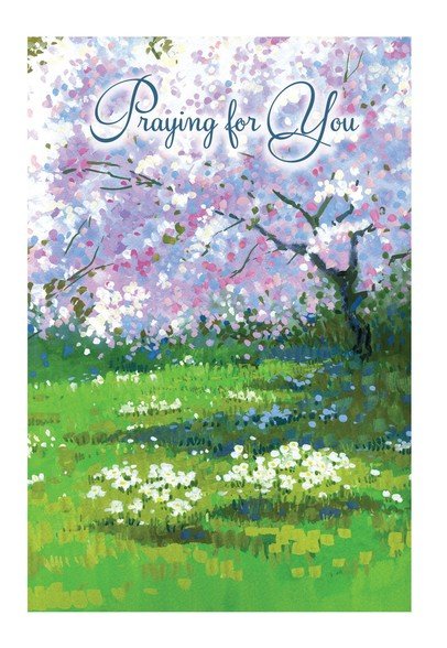 Boxed Cards - Botanical- Get Well