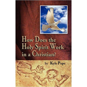 How Does the Holy Spirit Work in a Christian?