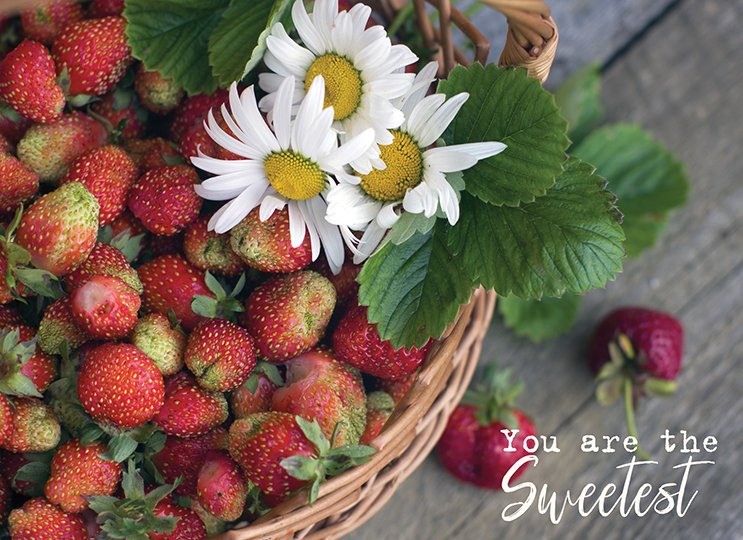 Boxed Cards - Blank: Floral