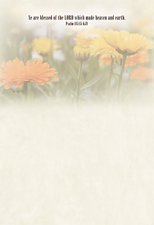 Boxed Cards - Blank: Floral