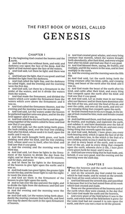 KJV Deluxe Gift Bible Turquoise Leathersoft