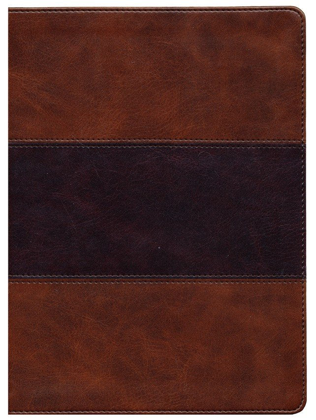 KJV Study Bible Saddle Brown LeatherTouch (Full-Color)