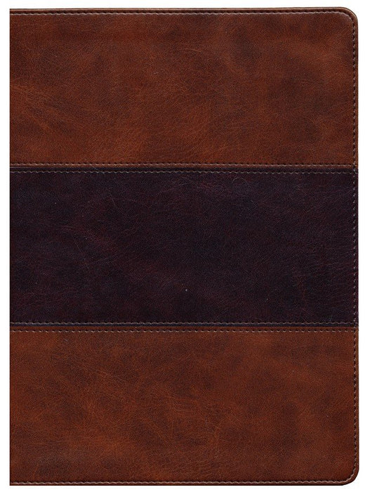 KJV Study Bible Saddle Brown LeatherTouch (Full-Color)