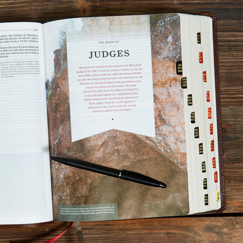 KJV Study Bible Brown Bonded Leather Indexed (Full-Color)