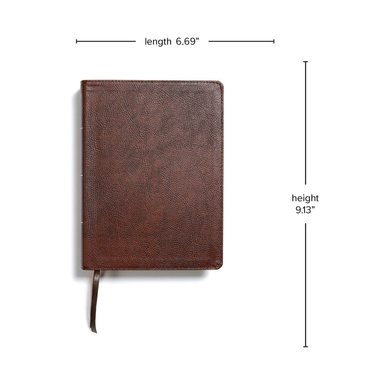 KJV Study Bible Brown Bonded Leather (Full-Color)