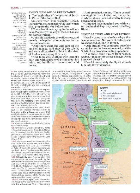 KJV Study Bible Brown Bonded Leather (Full-Color)