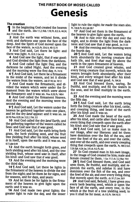 KJV Thinline Large Print Reference Bible - Black/Cocoa Flexisoft