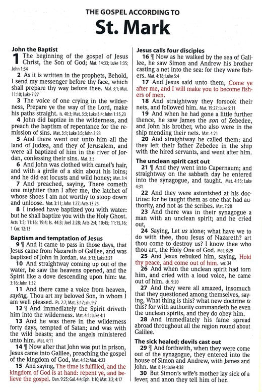 KJV Thinline Large Print Reference Bible - Black/Cocoa Flexisoft