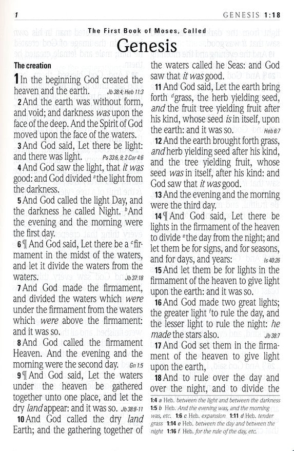 KJV Super Giant Print Reference Bible, Brown Flexisoft Indexed