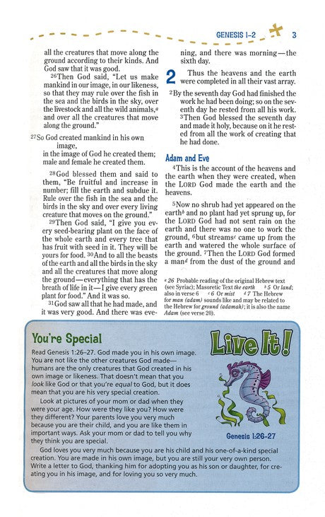 NIV Adventure Bible -  Hardback