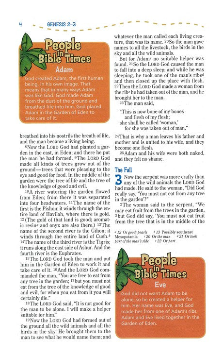 NIV Adventure Bible -  Hardback