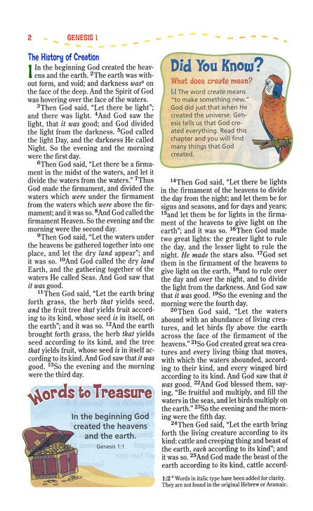 NKJV Adventure Bible - Raspberry DuoTone