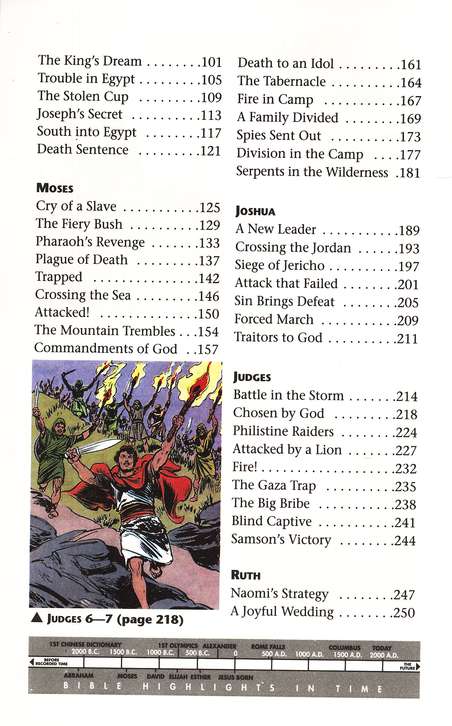 The Picture Bible - Hardcover