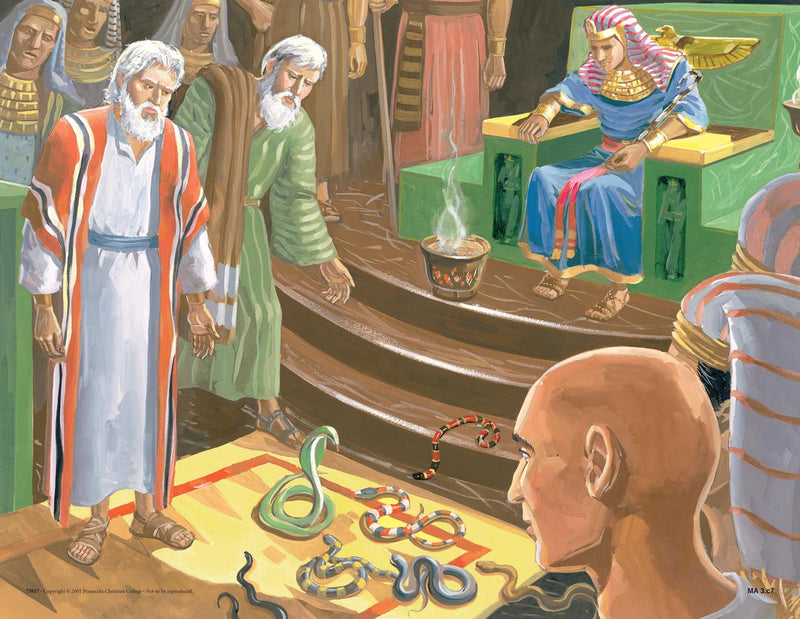 Moses in Egypt (Life of Moses Series 1)  Abeka Flash-A-Card