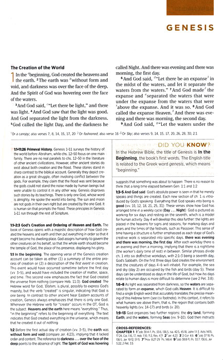 ESV Student Study Bible Chestnut TruTone