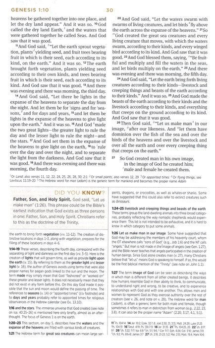 ESV Student Study Bible Chestnut TruTone